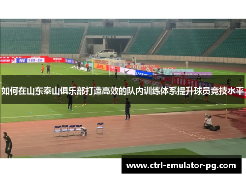 如何在山东泰山俱乐部打造高效的队内训练体系提升球员竞技水平