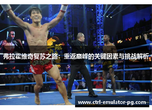 弗拉霍维奇复苏之路：重返巅峰的关键因素与挑战解析